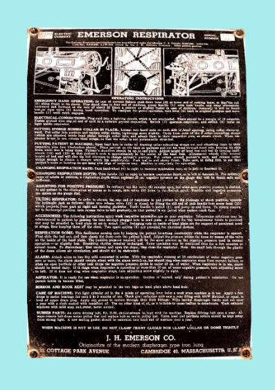 OFPulmaodeaco figura5 2