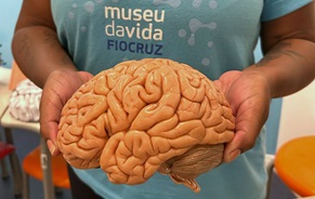 Cerebro2024 destaque